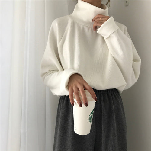 Casual loose turtleneck knitted