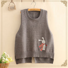 Load image into Gallery viewer, Embroidery knitted sweater vest